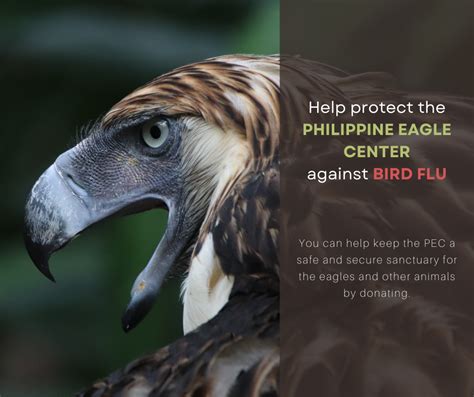 world eagle charitable foundation international philippines